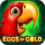 Eggs Gold